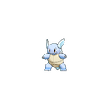 Wartortle