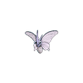Venomoth