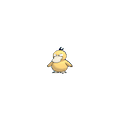 Psyduck