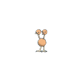 Doduo