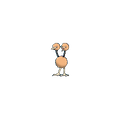 Doduo