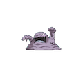 Muk