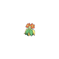 Bellossom