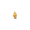 Torchic