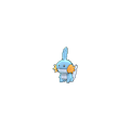 Mudkip