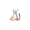 Milotic