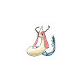 Milotic
