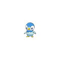 Piplup