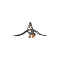 Staravia
