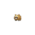 Bidoof
