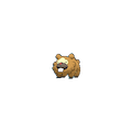 Bidoof