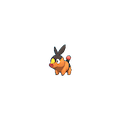 Tepig
